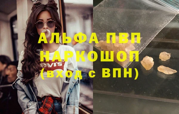 стафф Богородицк