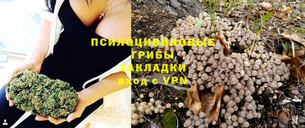 a pvp Богданович