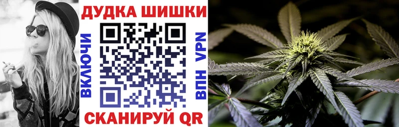 Шишки марихуана сатива  Михайлов 